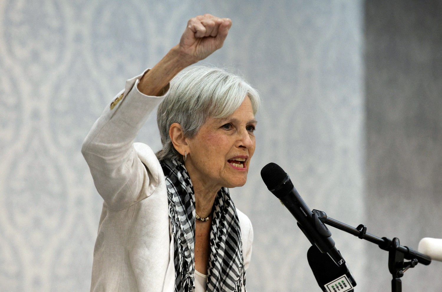 Stein's Election Strategy